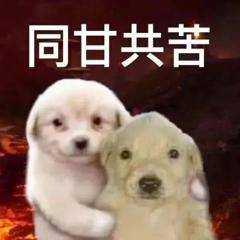 同甘共苦的狗狗