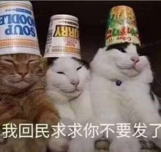 猫咪的尴尬派对