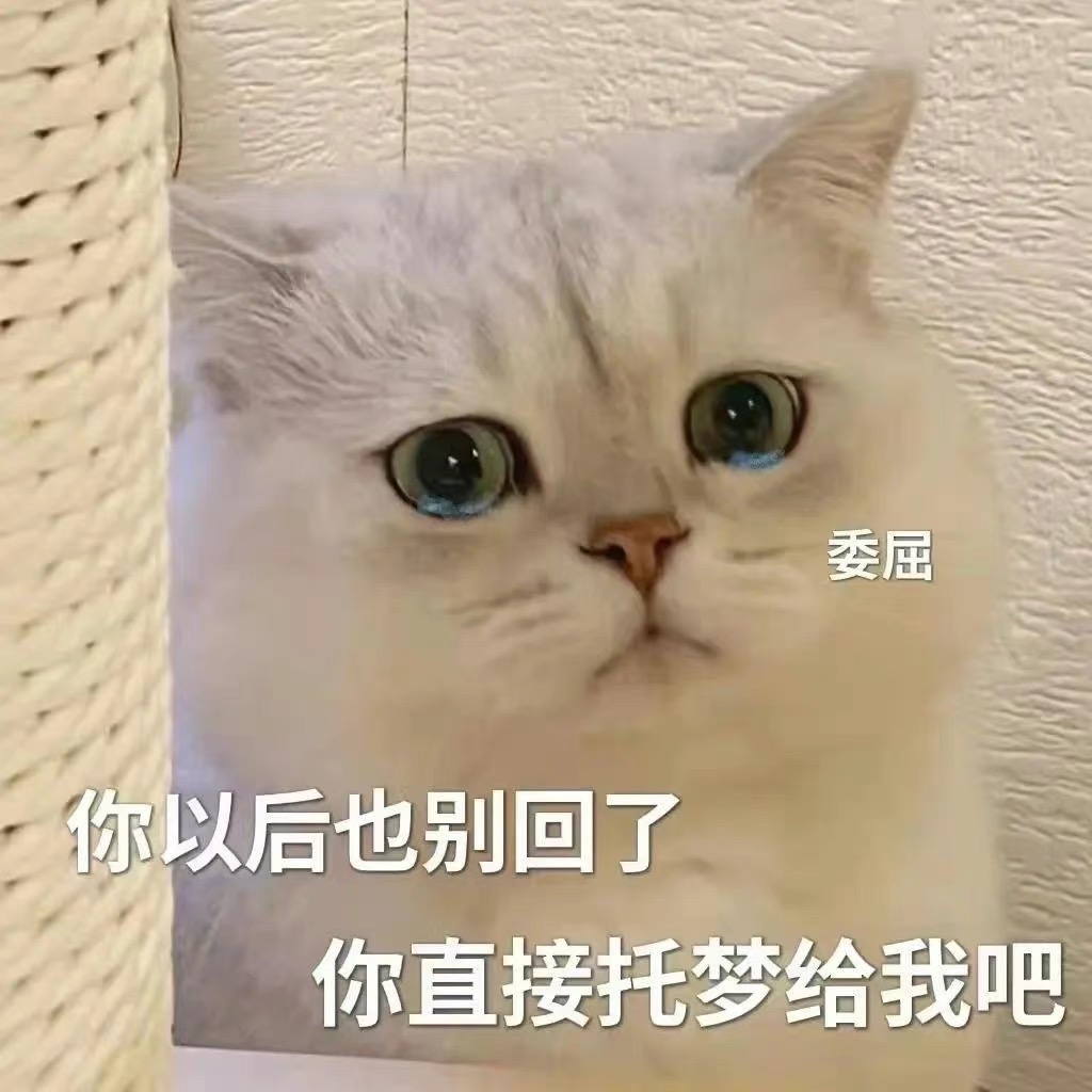 委屈猫的托梦请求