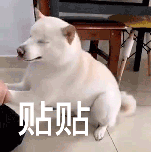 贴贴狗