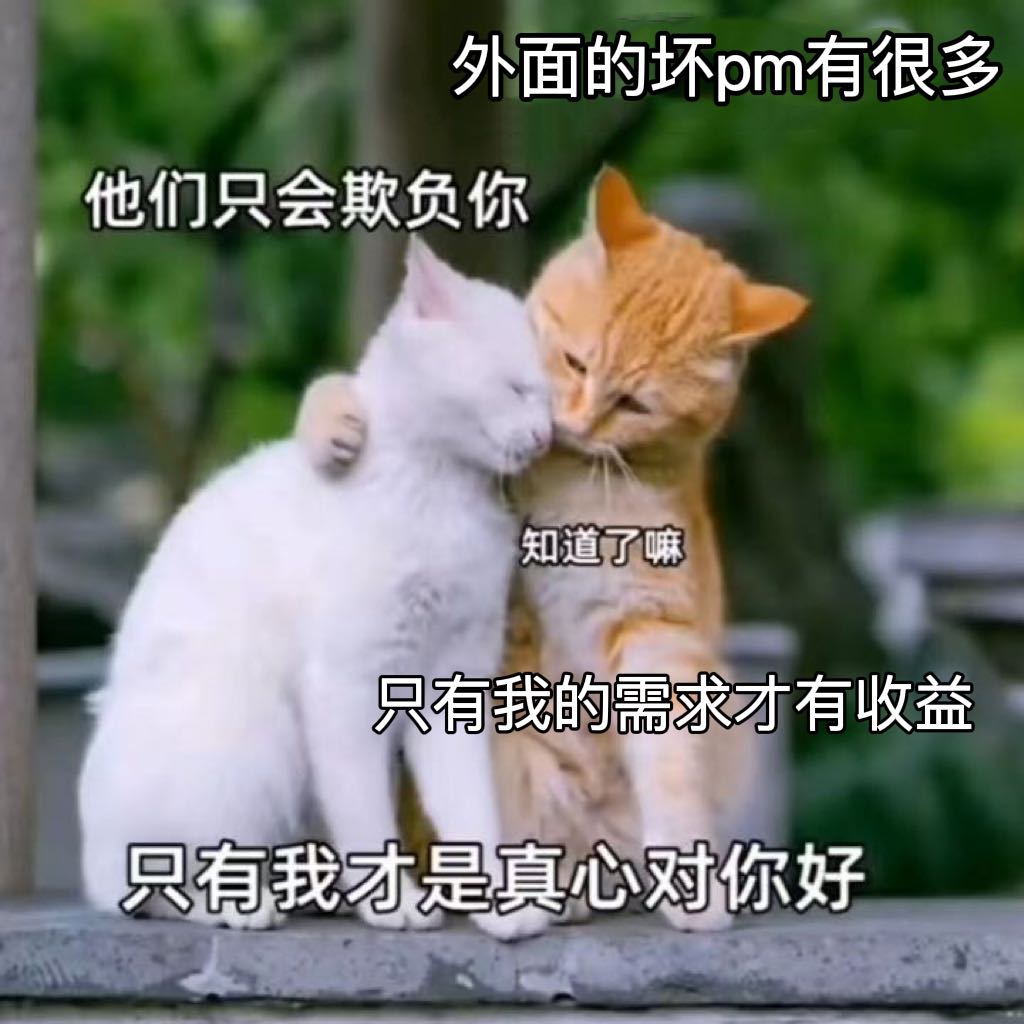 真心对你好