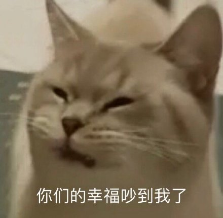 猫咪的幸福