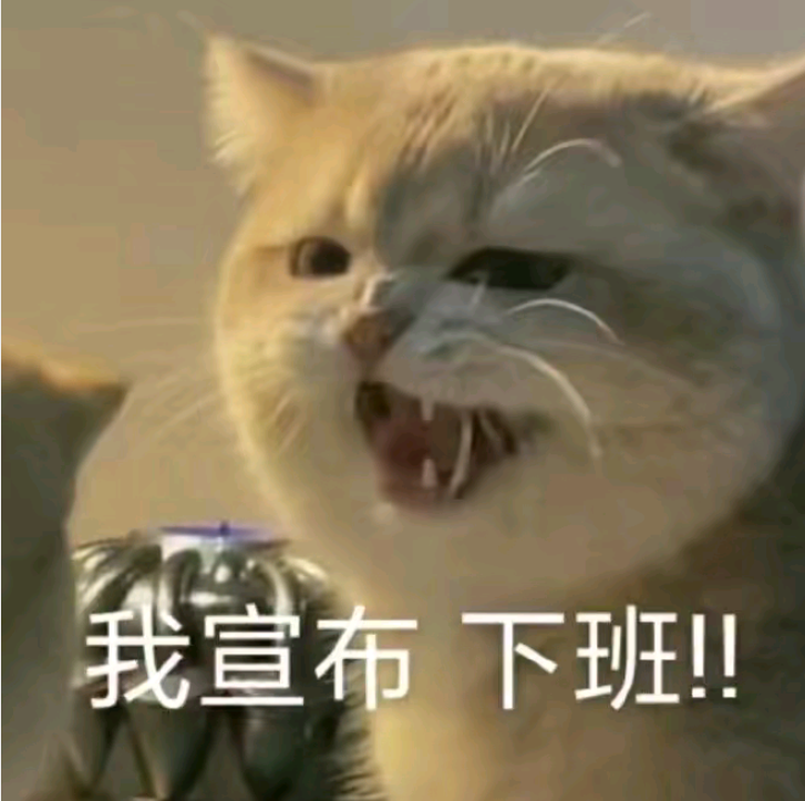猫咪宣布下班