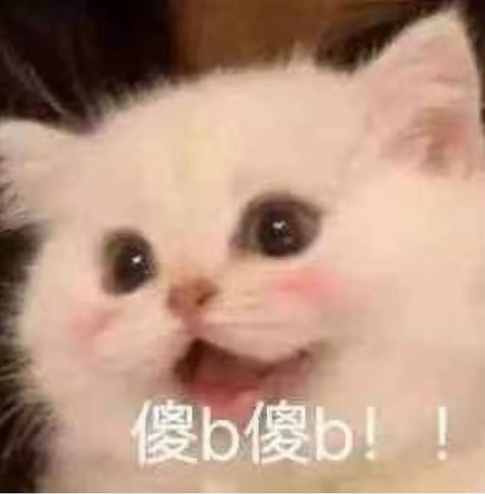可爱猫咪调侃表情包