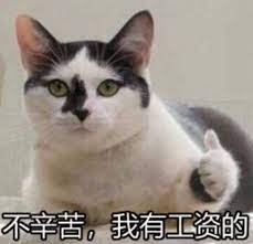 猫咪点赞：不辛苦，我有工资的
