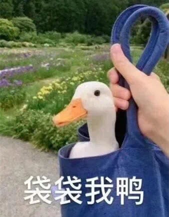 袋袋我鸭