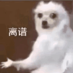 离谱的狗狗