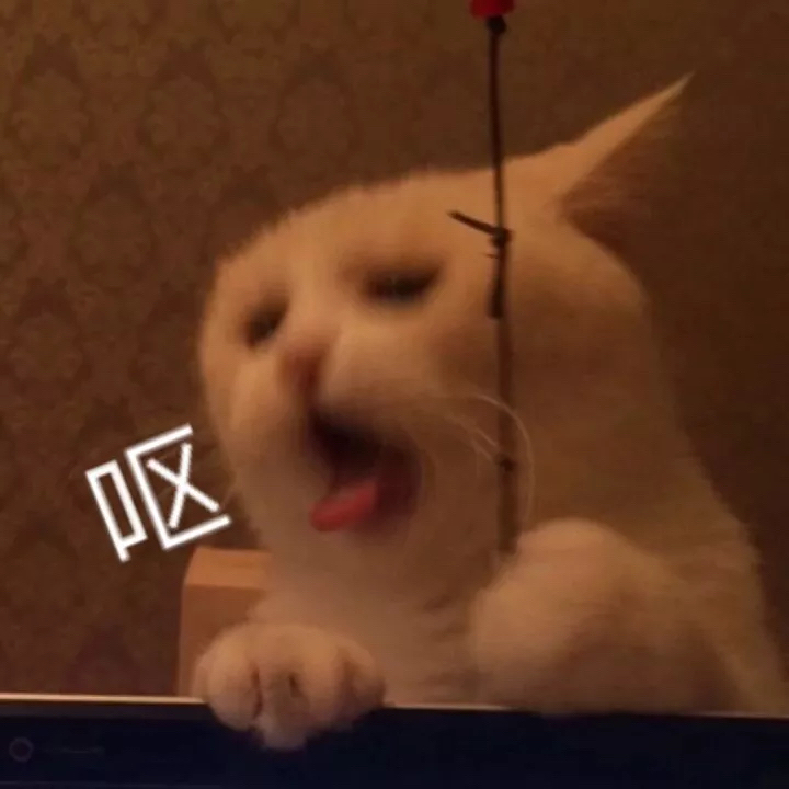 猫咪惊吓表情包