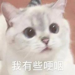 尴尬猫