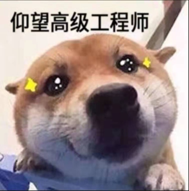 仰望高级工程师