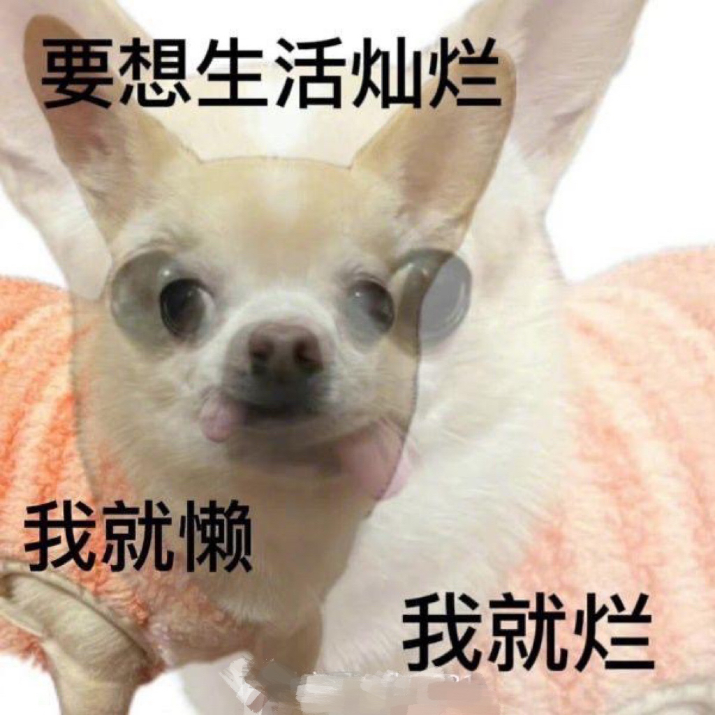 狗狗的颓废生活