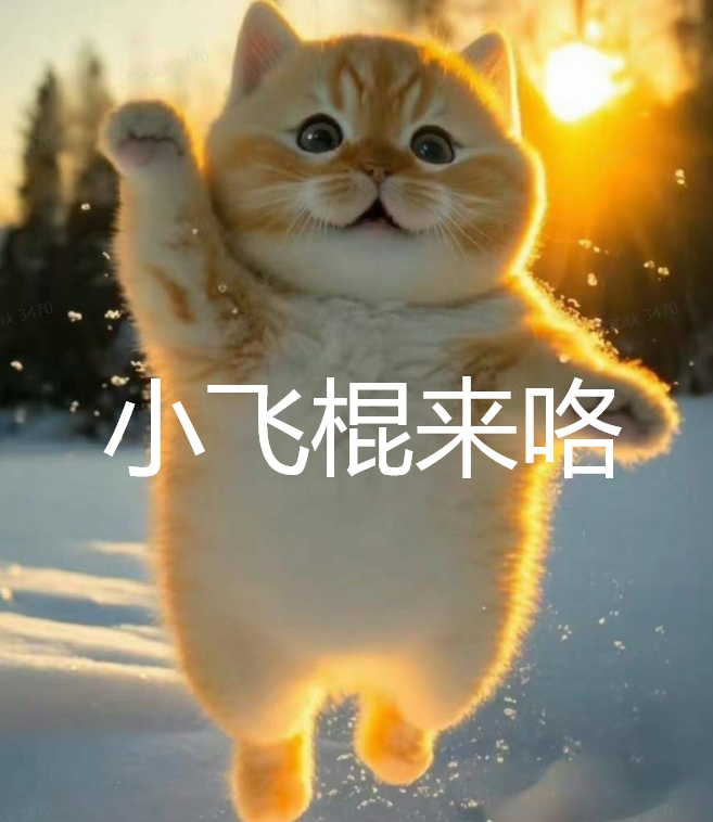 小飞棍来咯