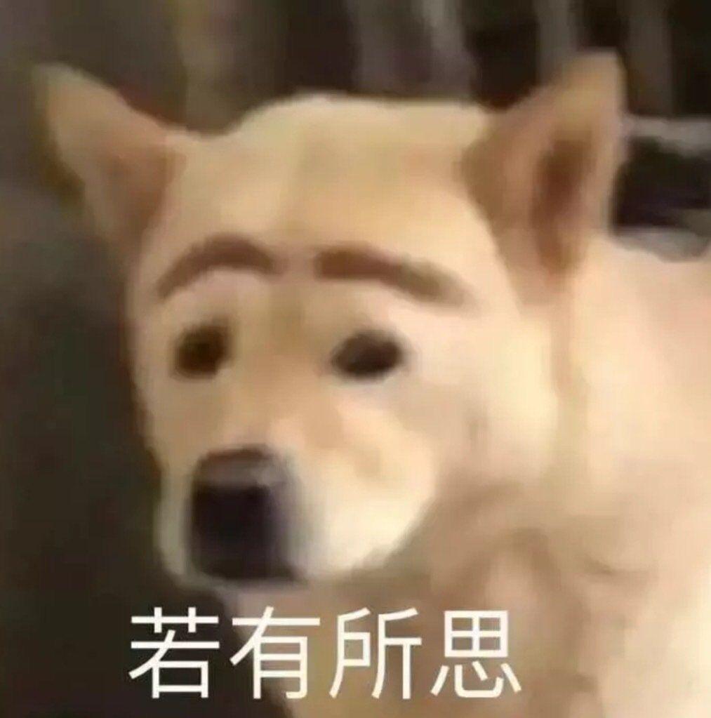 若有所思的狗狗