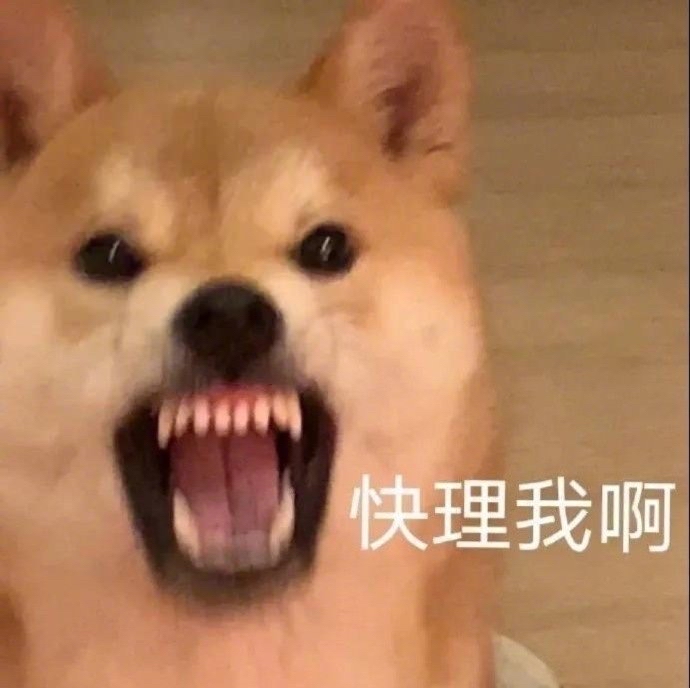 狗狗咆哮求关注