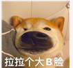 拉拉个大B脸