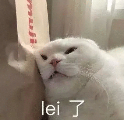猫咪生无可恋
