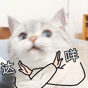 猫咪拜拜表情包