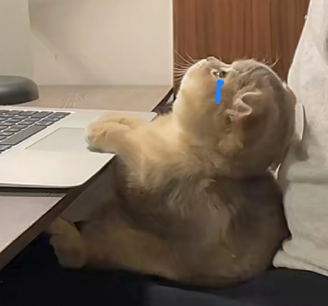 猫咪流泪