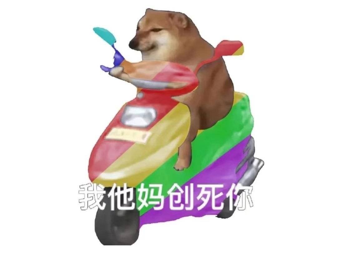 狗狗骑摩托