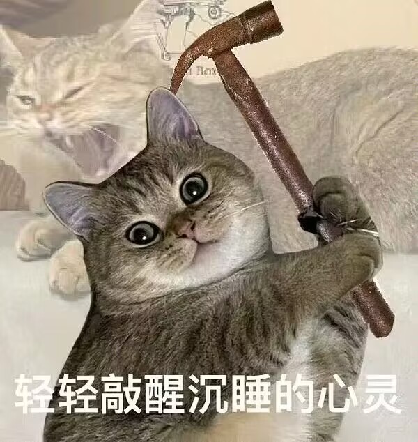 猫咪敲醒心灵