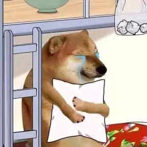 心碎的柴犬