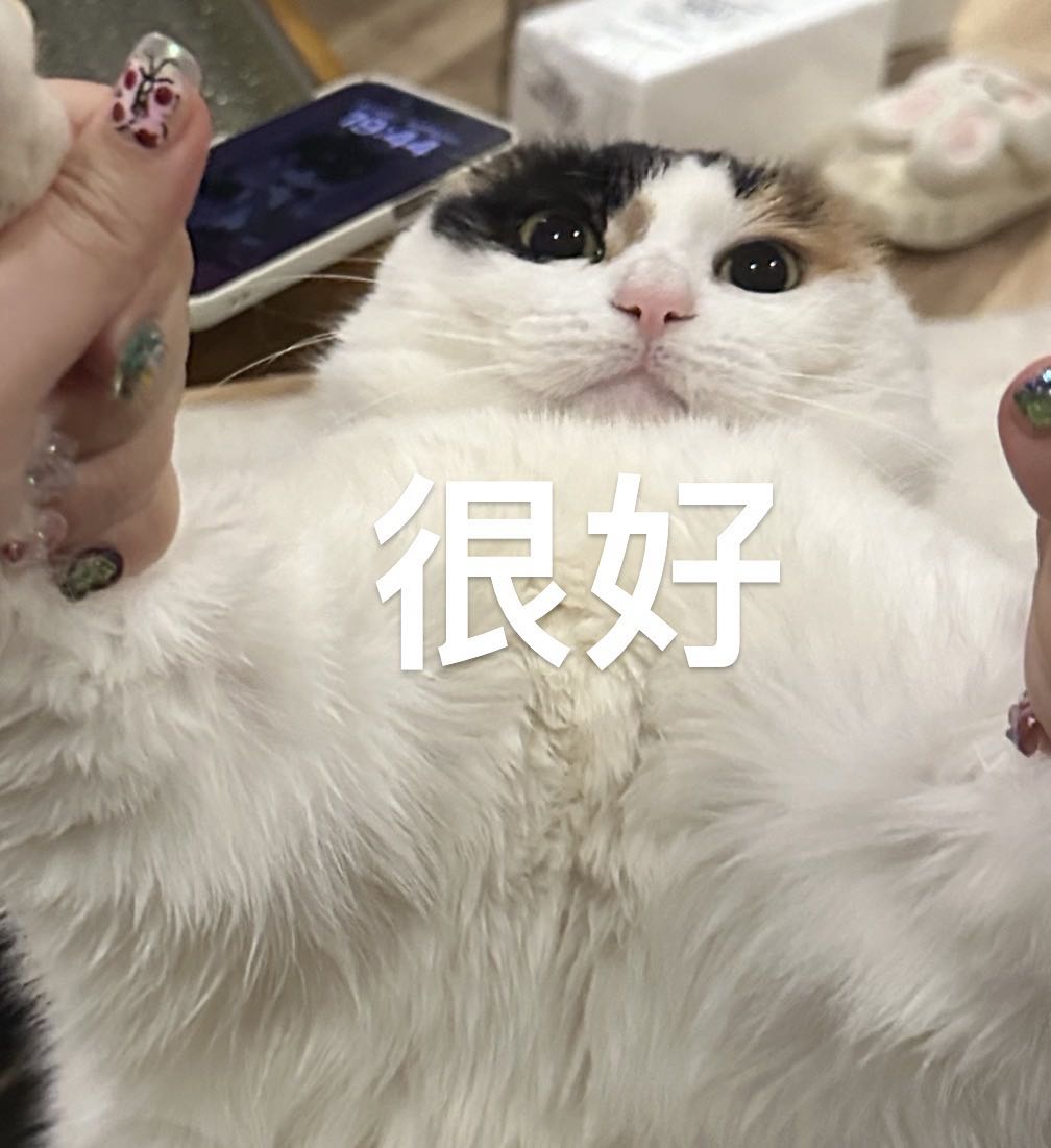 猫咪的无奈自拍