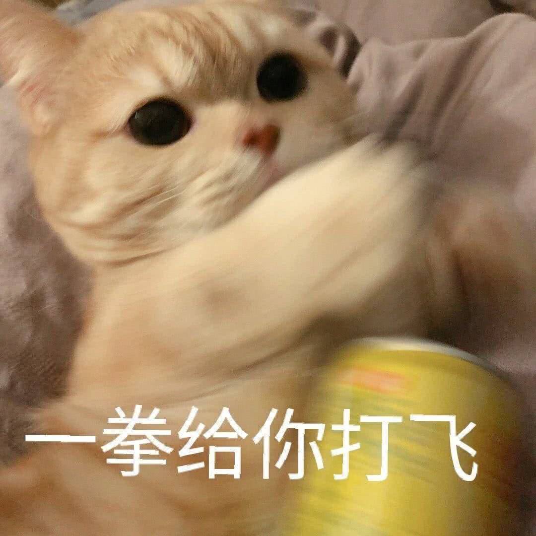 一拳给你打飞