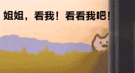 吸引注意的可爱猫咪