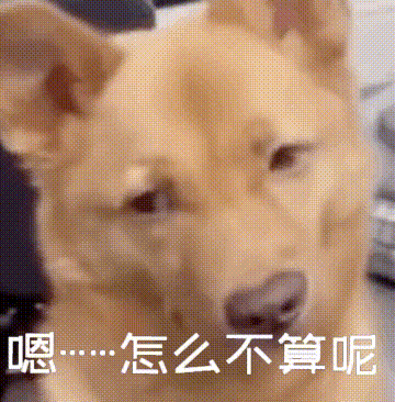 柴犬疑惑脸