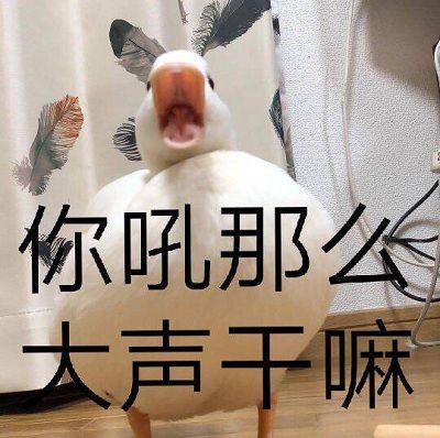 大声叫喊的鸭子