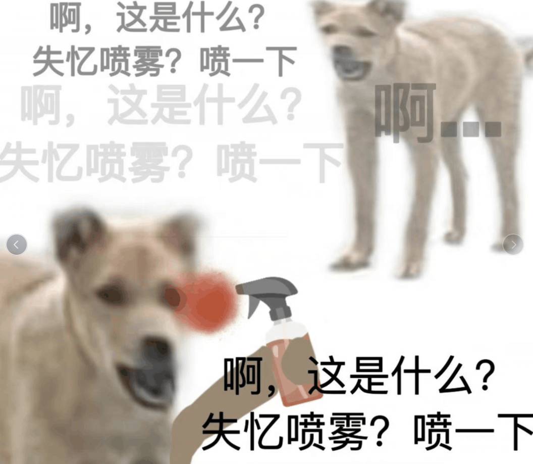 失忆喷雾狗狗