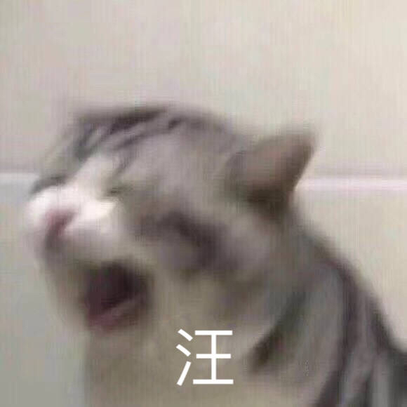 猫咪汪汪叫