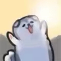 哈士奇吐舌头