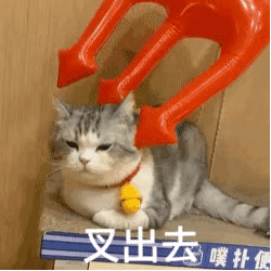 猫咪嫌弃表情包