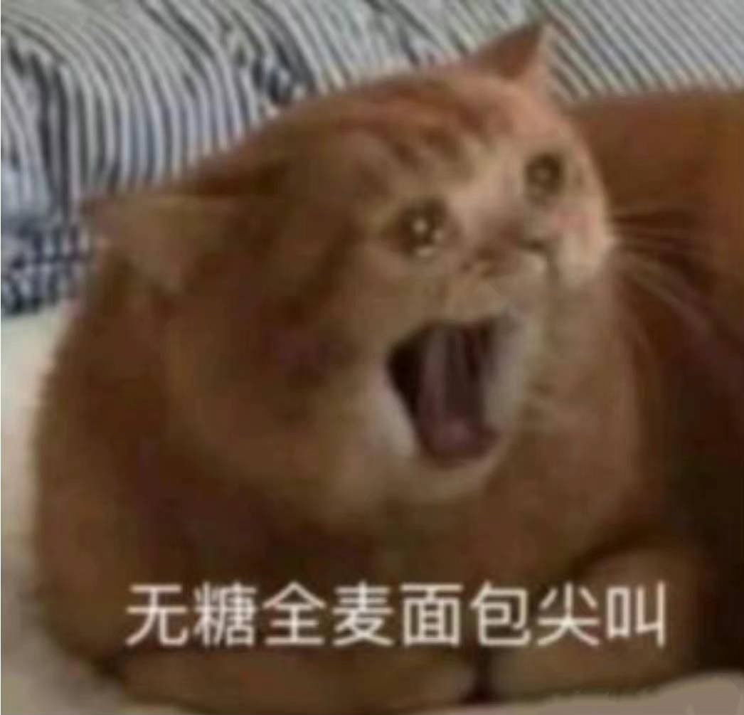 无糖全麦面包尖叫猫