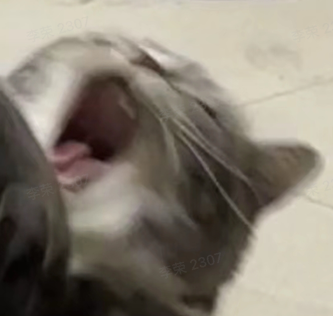 猫咪惊恐表情包