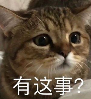 猫咪震惊脸