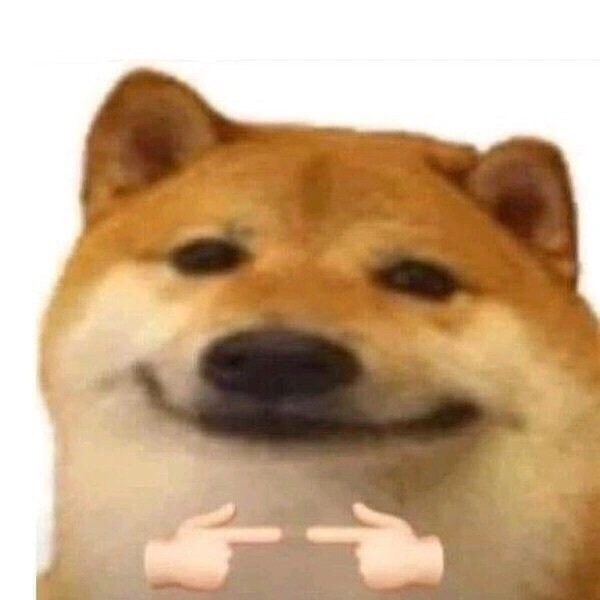 柴犬抱拳