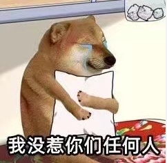 狗狗抱枕流泪