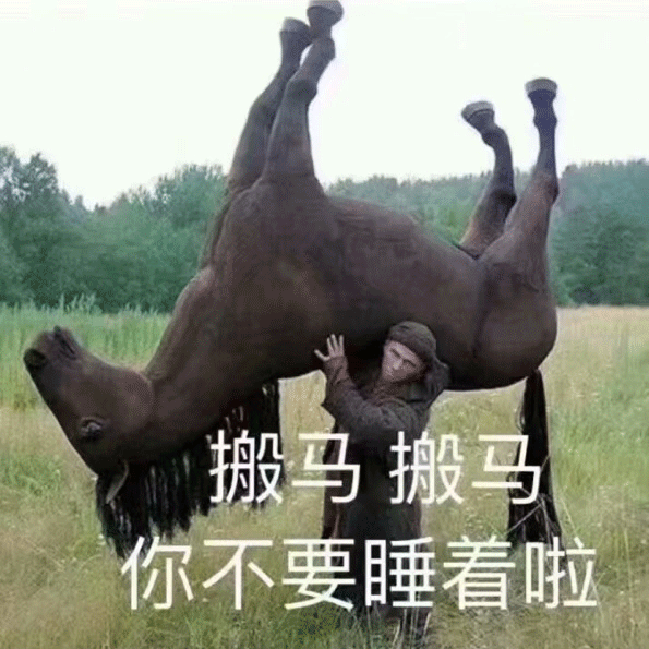 搬马，搬马，你不要睡着啦