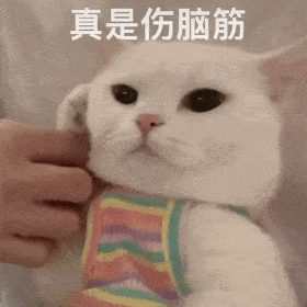 真是伤脑筋的猫