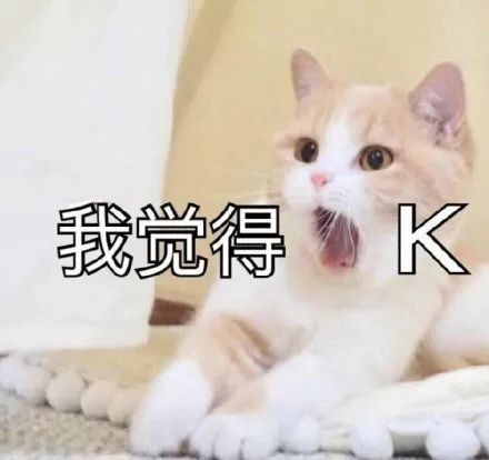 震惊猫咪