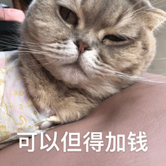 可以但得加钱
