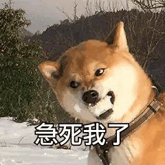 柴犬着急表情包