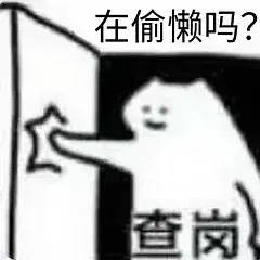 在偷懒吗？查岗！