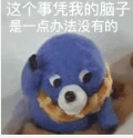 脑子不够用了