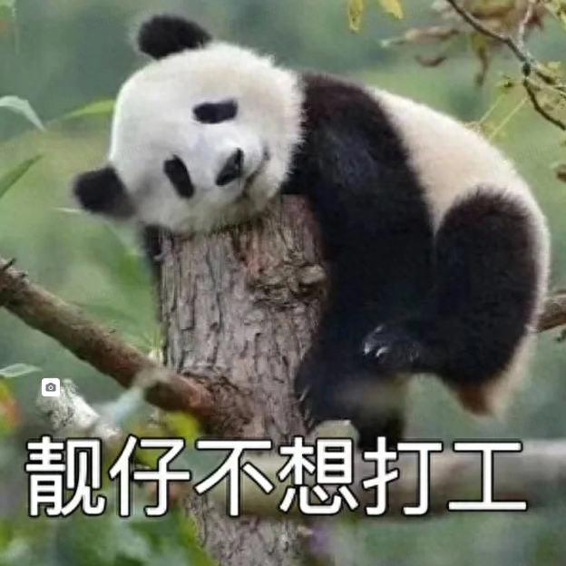 熊猫不想打工