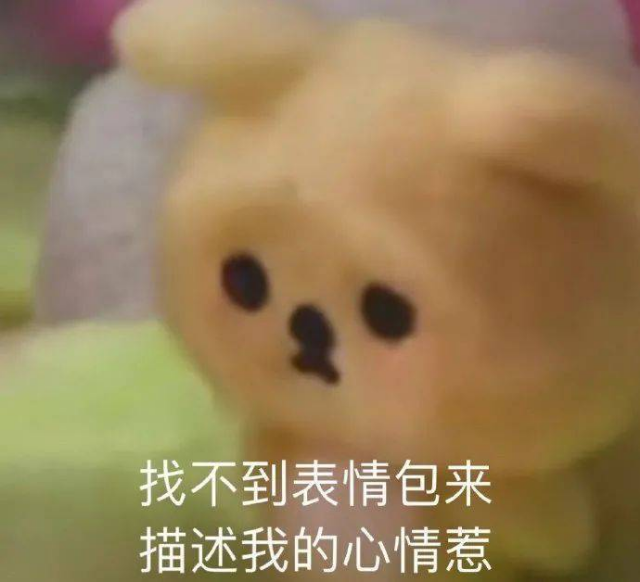 心情难以描述的熊熊