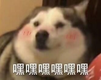 二哈嘿嘿嘿