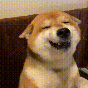 哈哈大笑的狗狗